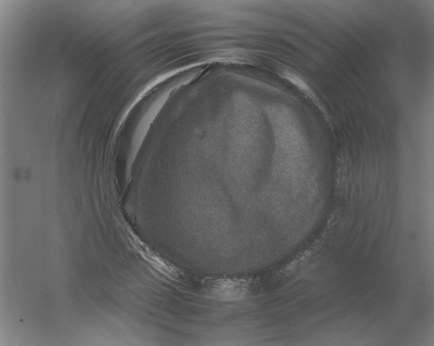 X0000054410923200508121721