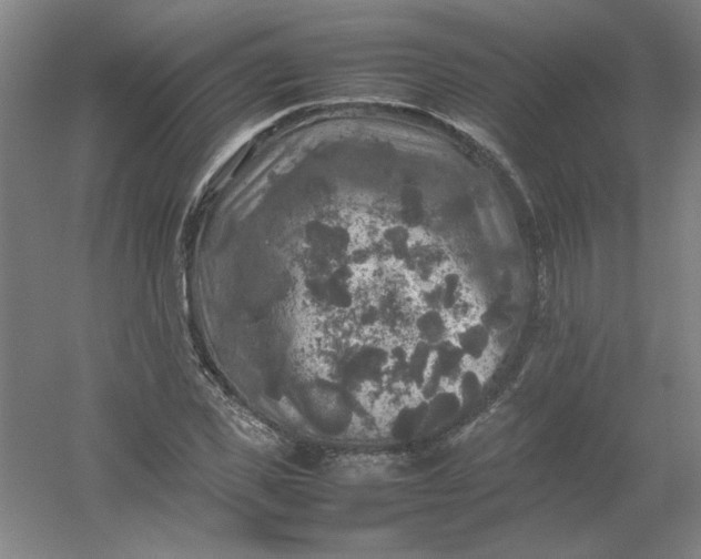 X0000054410925200508121721