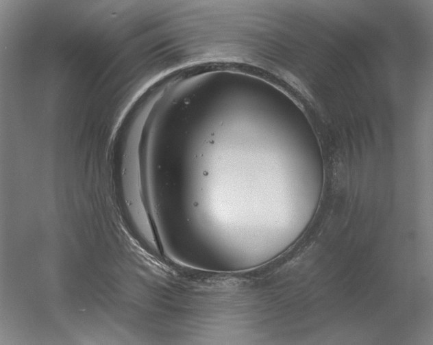 X0000054410926200508121721