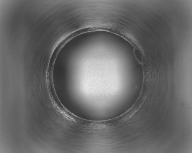 X0000054410928200508121721