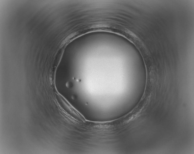 X0000054410929200508121721