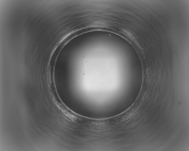 X0000054410931200508121721