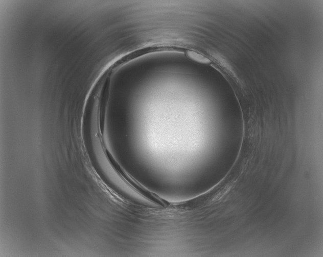 X0000054410932200508121721