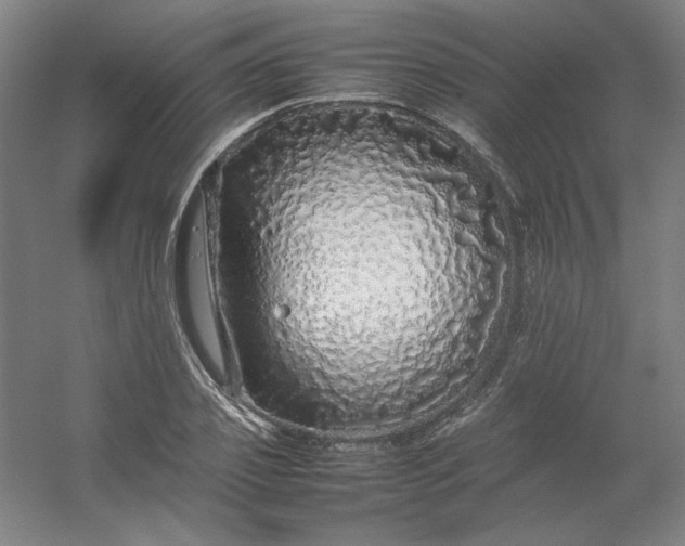 X0000054410933200508121721