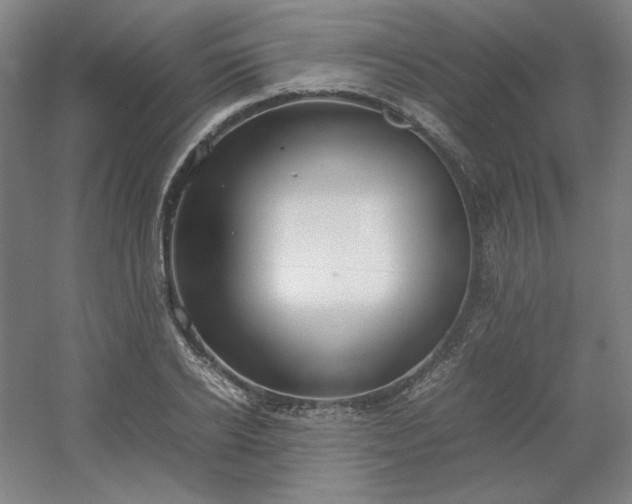 X0000054410934200508121721