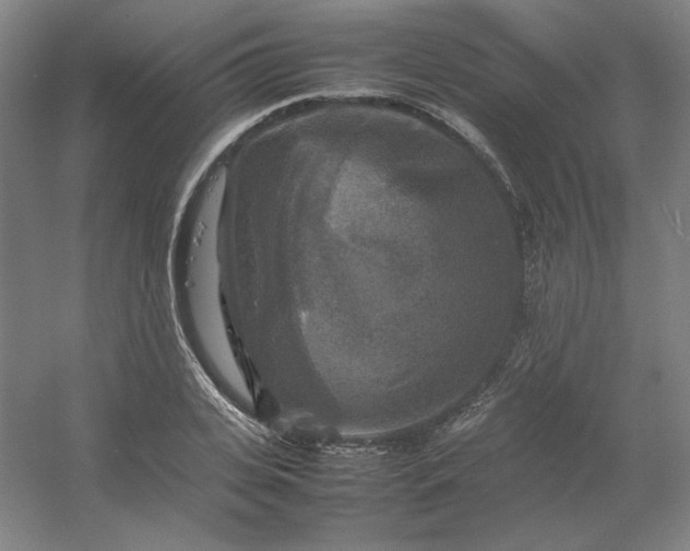 X0000054410935200508121721