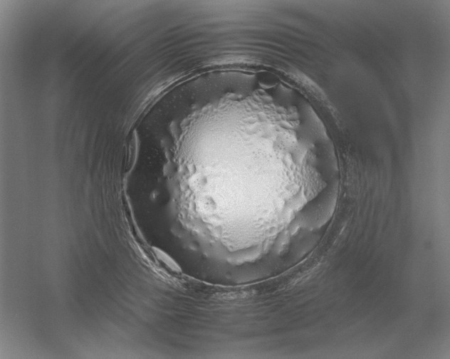 X0000054410937200508121721