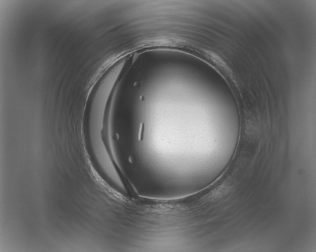 X0000054410938200508121721