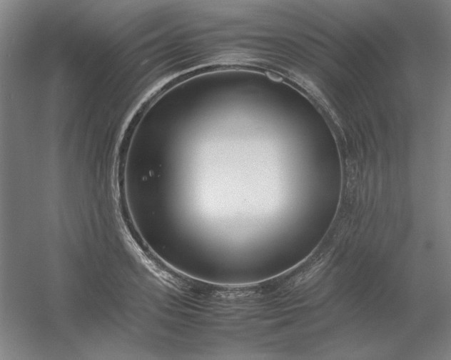 X0000054410939200508121721