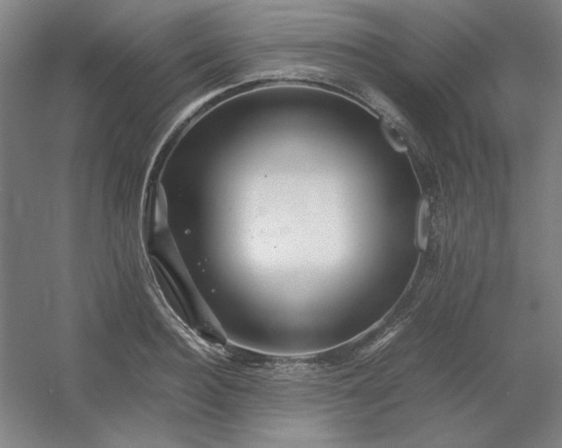 X0000054410940200508121721