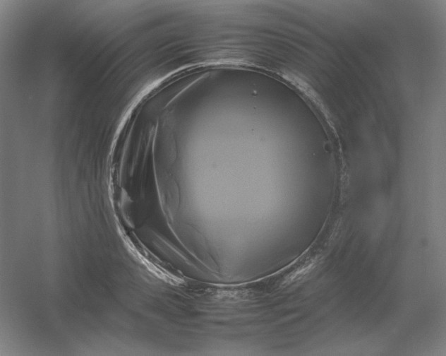 X0000054410941200508121721