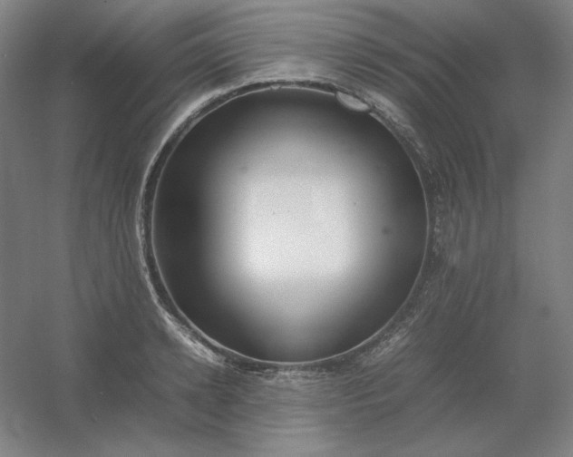 X0000054410942200508121721