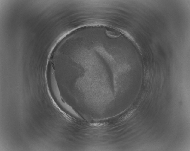 X0000054410943200508121721