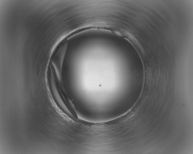 X0000054410944200508121721