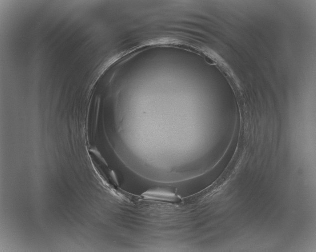 X0000054410945200508121721