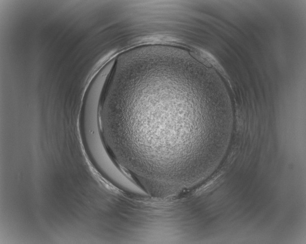 X0000054410946200508121721