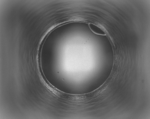 X0000054410947200508121721