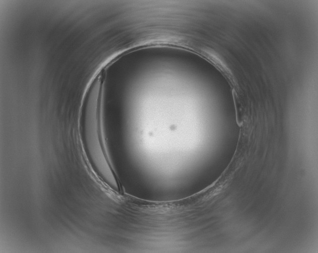 X0000054410948200508121721