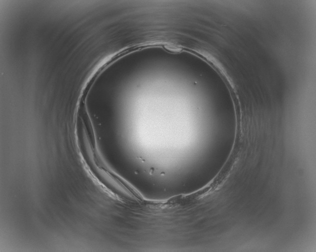 X0000054410949200508121721