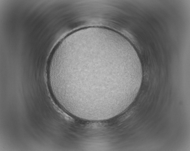 X0000054410950200508121722