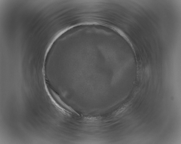 X0000054410951200508121722