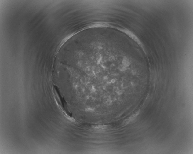 X0000054410953200508121722