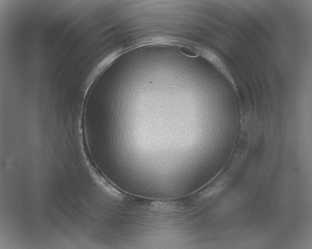 X0000054410954200508121722