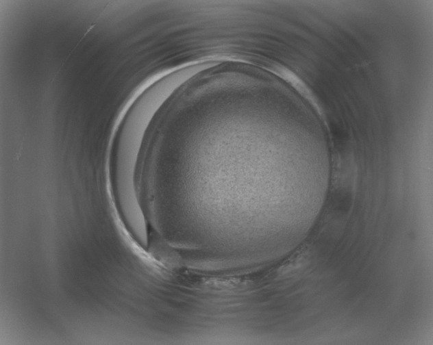 X0000054410955200508121722