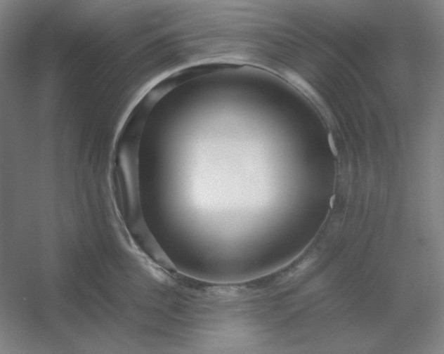 X0000054410956200508121722