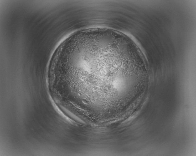 X0000054410957200508121722