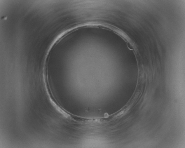 X0000054410958200508121722