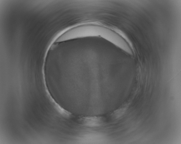 X0000054410959200508121722