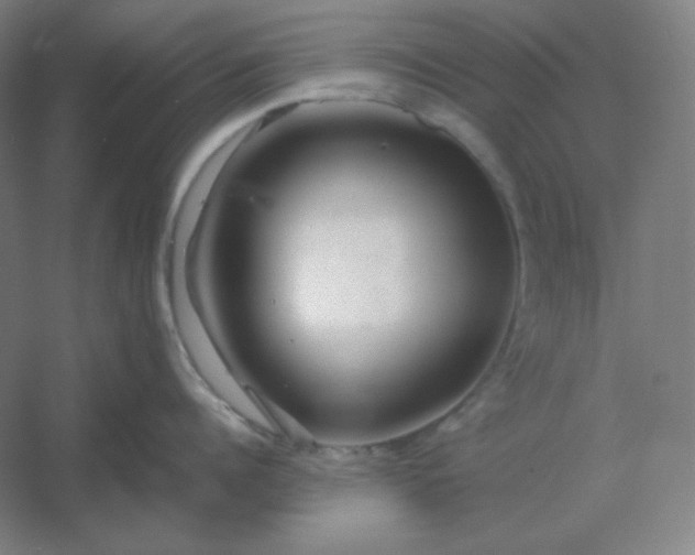 X0000054410960200508121722