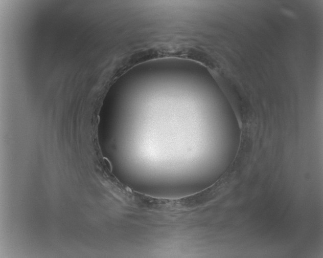 X0000054410961200508121721