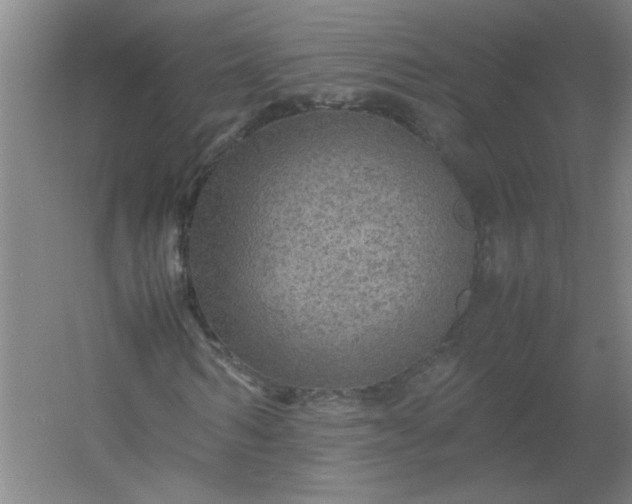 X0000054410962200508121721