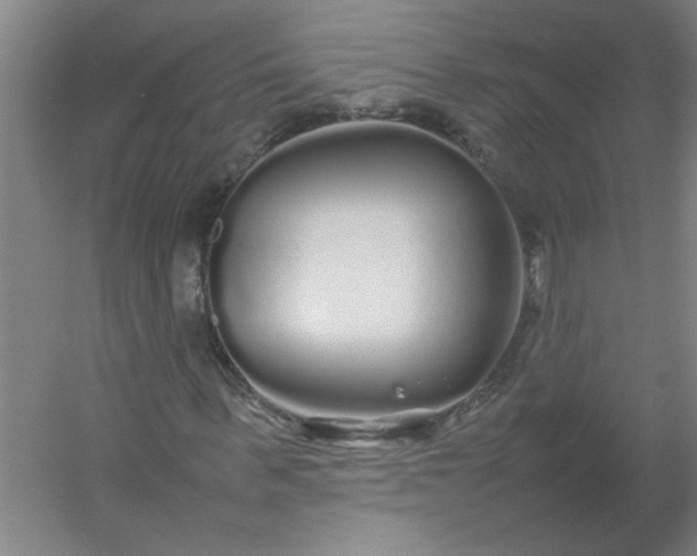 X0000054410963200508121721