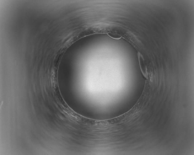 X0000054410964200508121721