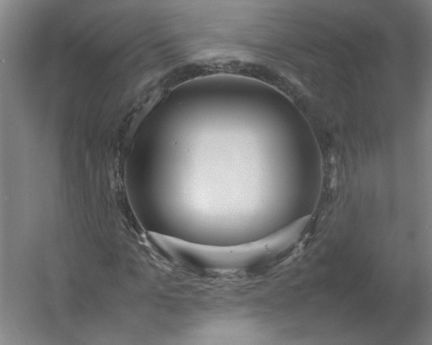 X0000054410965200508121721