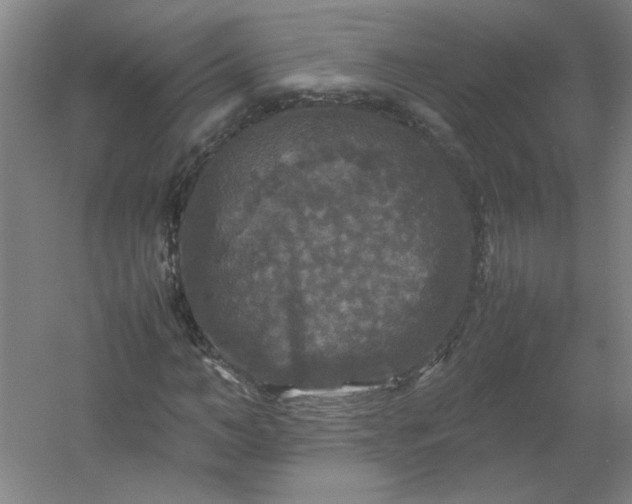 X0000054410966200508121721