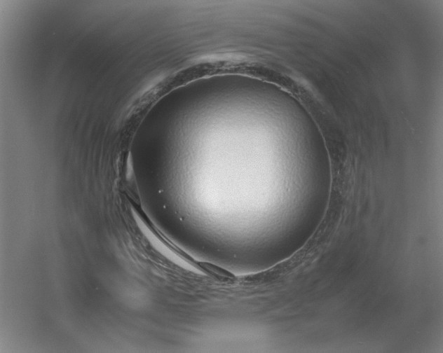 X0000054410967200508121721