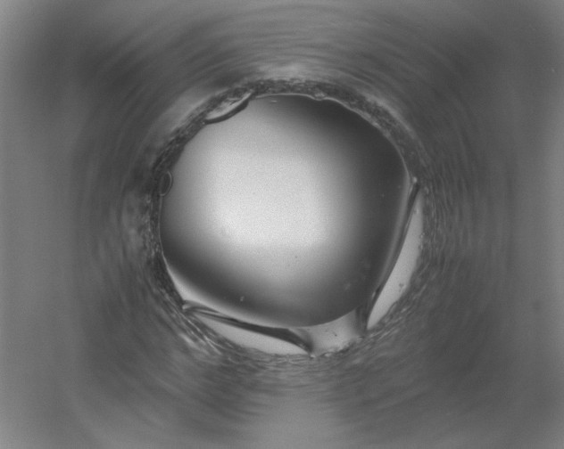 X0000054410968200508121721