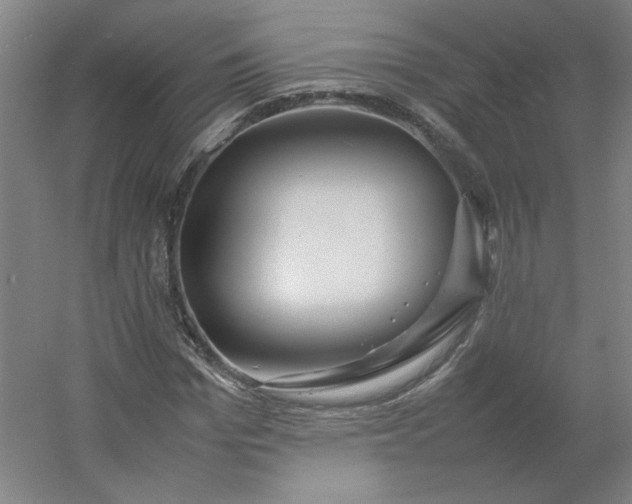 X0000054410969200508121721