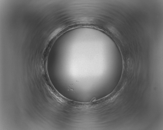 X0000054410970200508121721