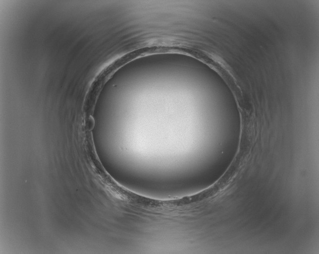 X0000054410971200508121721