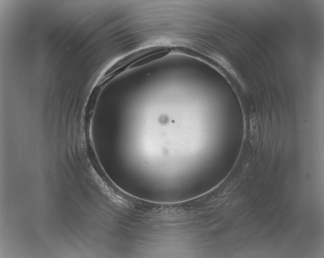 X0000054410972200508121721