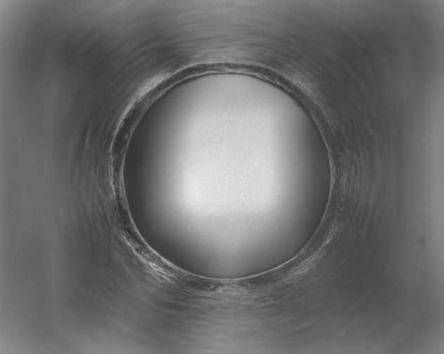 X0000054410974200508121721