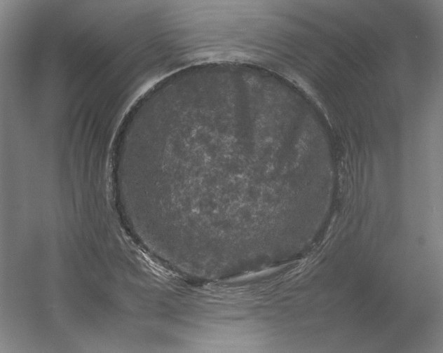 X0000054410975200508121721