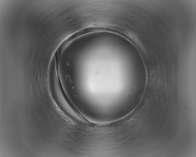 X0000054410976200508121721