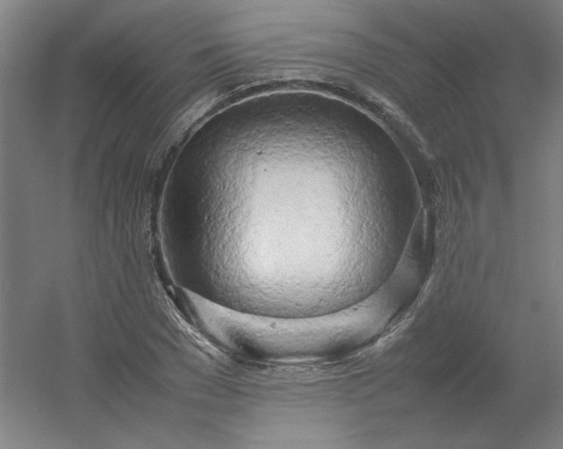 X0000054410977200508121721