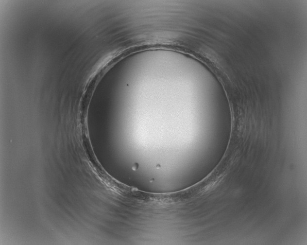 X0000054410978200508121721